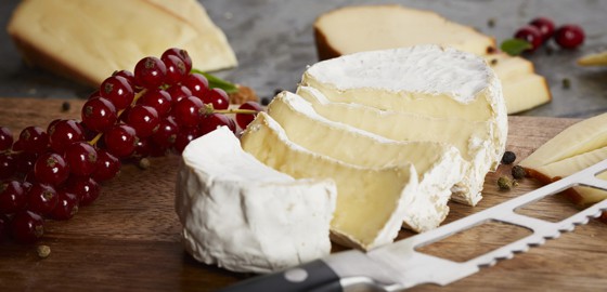 leopold-camembert-kaese-noem-gast NÖM Gast Premiumkäse cremiger Leopold Camembert
